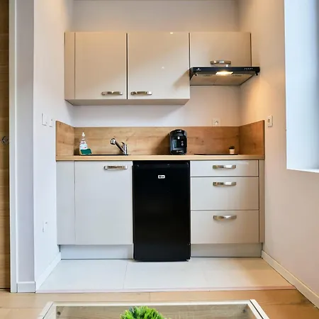 Hypercentre De Lille, A Deux Pas De La Gare Flandres Apartment