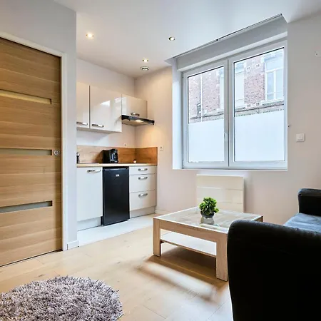 Hypercentre De Lille, A Deux Pas De La Gare Flandres Apartment Lille